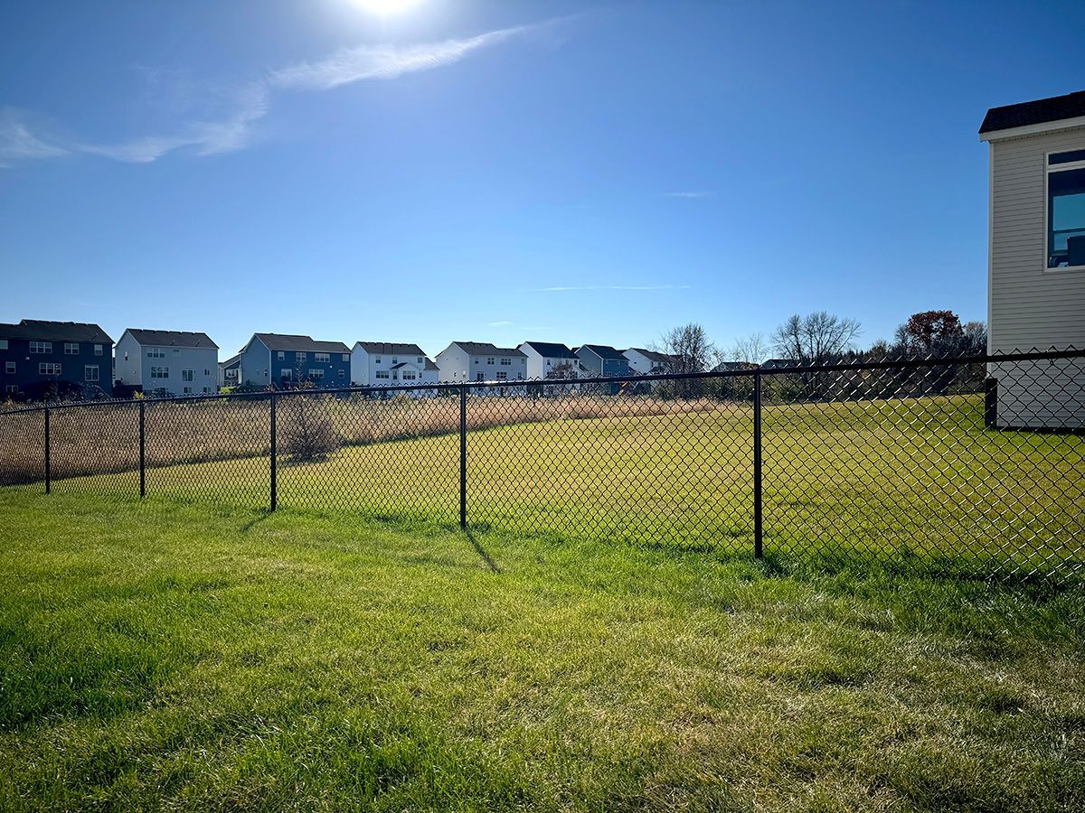 A green residential backyard lawn separated by a black chain-link fence from a field and a row of suburban houses.