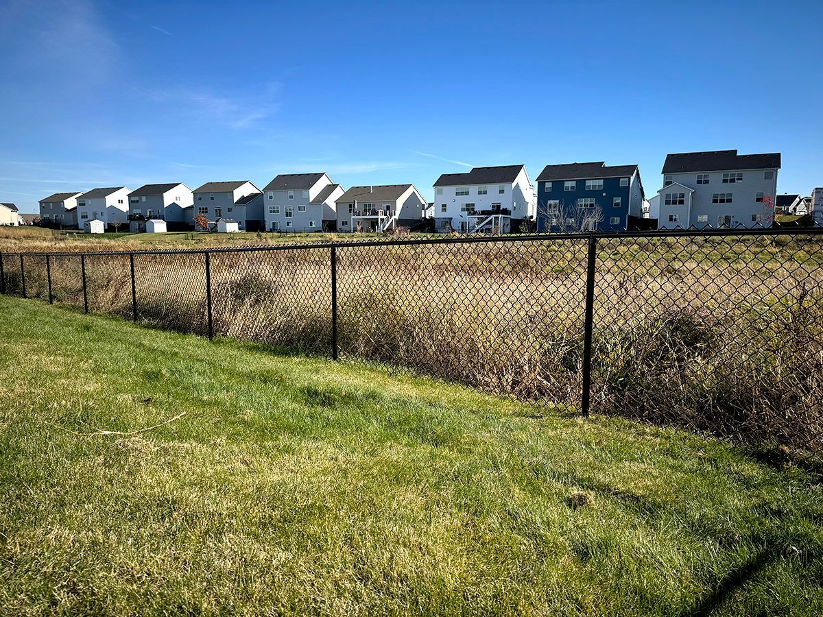 A black chain-link fence separates a grassy foreground from a row of modern suburban houses under a clear blue sky.