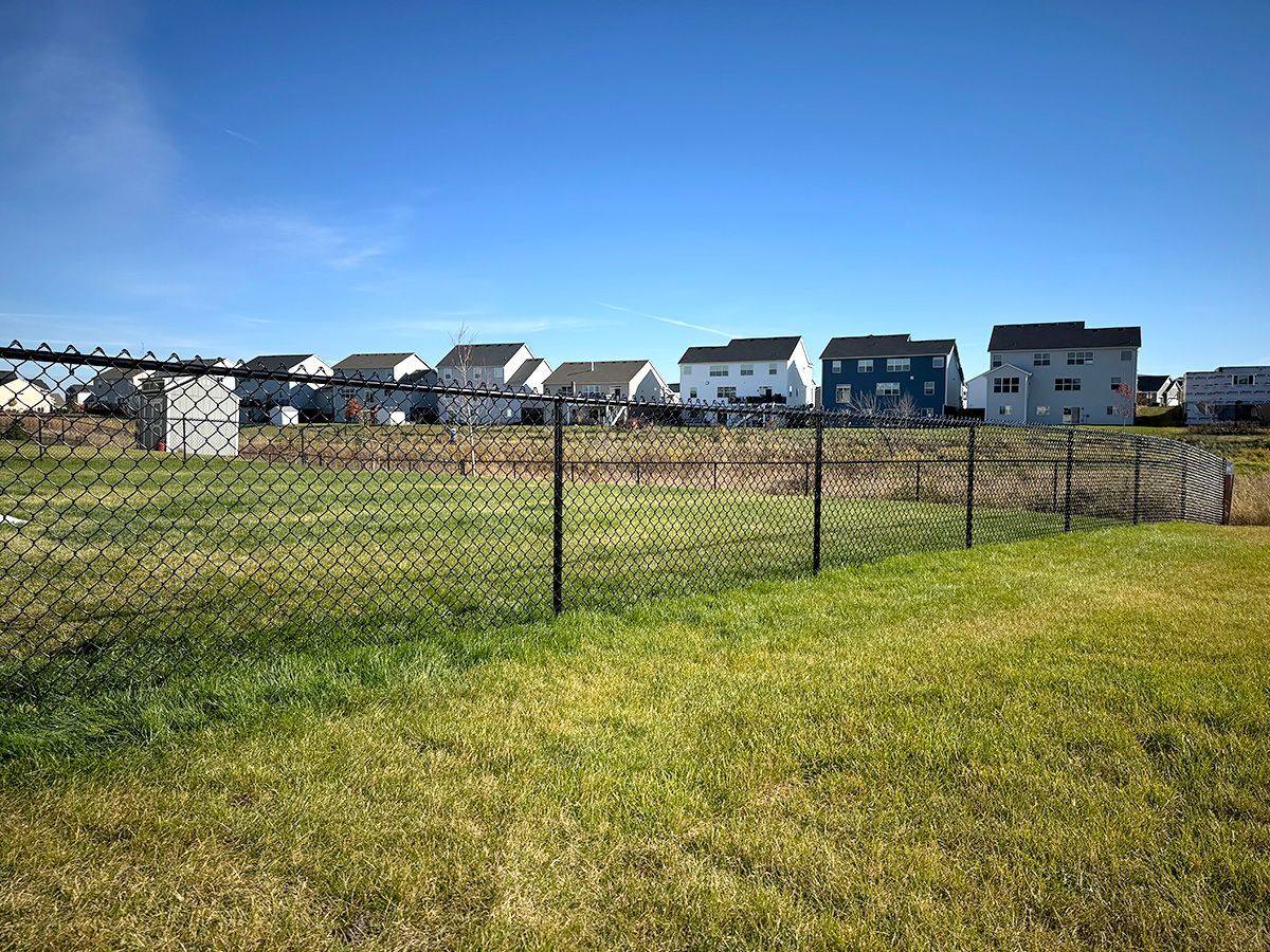 A grassy yard enclosed by a chain-link fence, with a row of residential houses in the background under a blue sky.