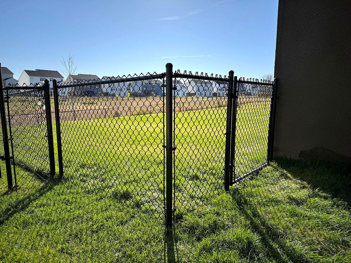 A black chain-link fence encloses a green grassy yard under a bright blue sky, with houses visible in the distance.