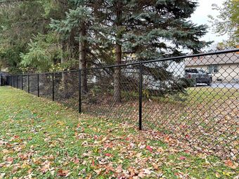 A black chain-link fence runs along a grassy lawn covered with autumn leaves, with pine trees in the background.