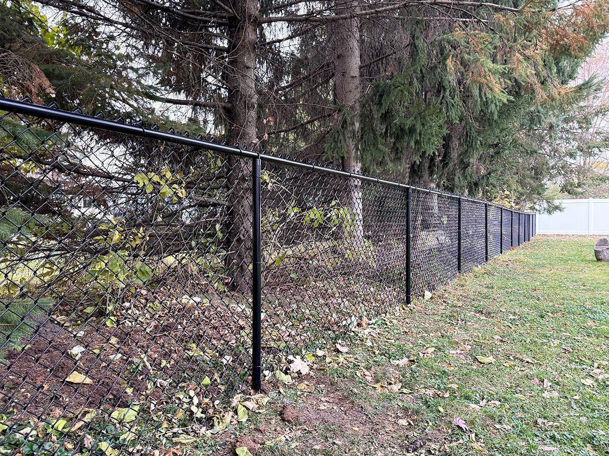 A black chain-link fence runs along the edge of a grassy lawn bordered by trees with fallen autumn leaves.