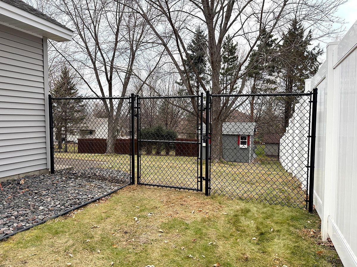 A black chain-link fence with a central gate connects a house siding to a white privacy fence in a backyard.
