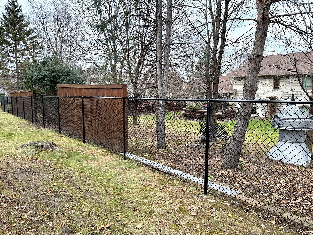 A yard transition from a wooden privacy fence to a black chain-link fence, with trees and a house in the background.