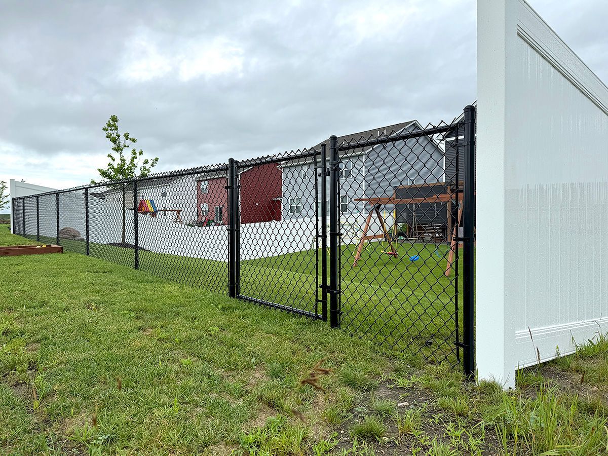 A black chain-link fence with a gate borders a grassy backyard, adjacent to a white privacy fence against a cloudy sky.