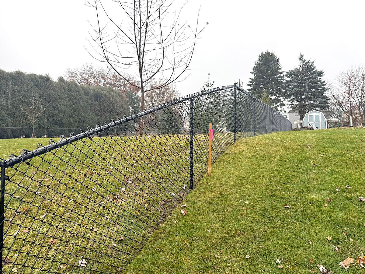 A black chain-link fence runs along a sloping grassy yard toward a small shed and trees in the distance.