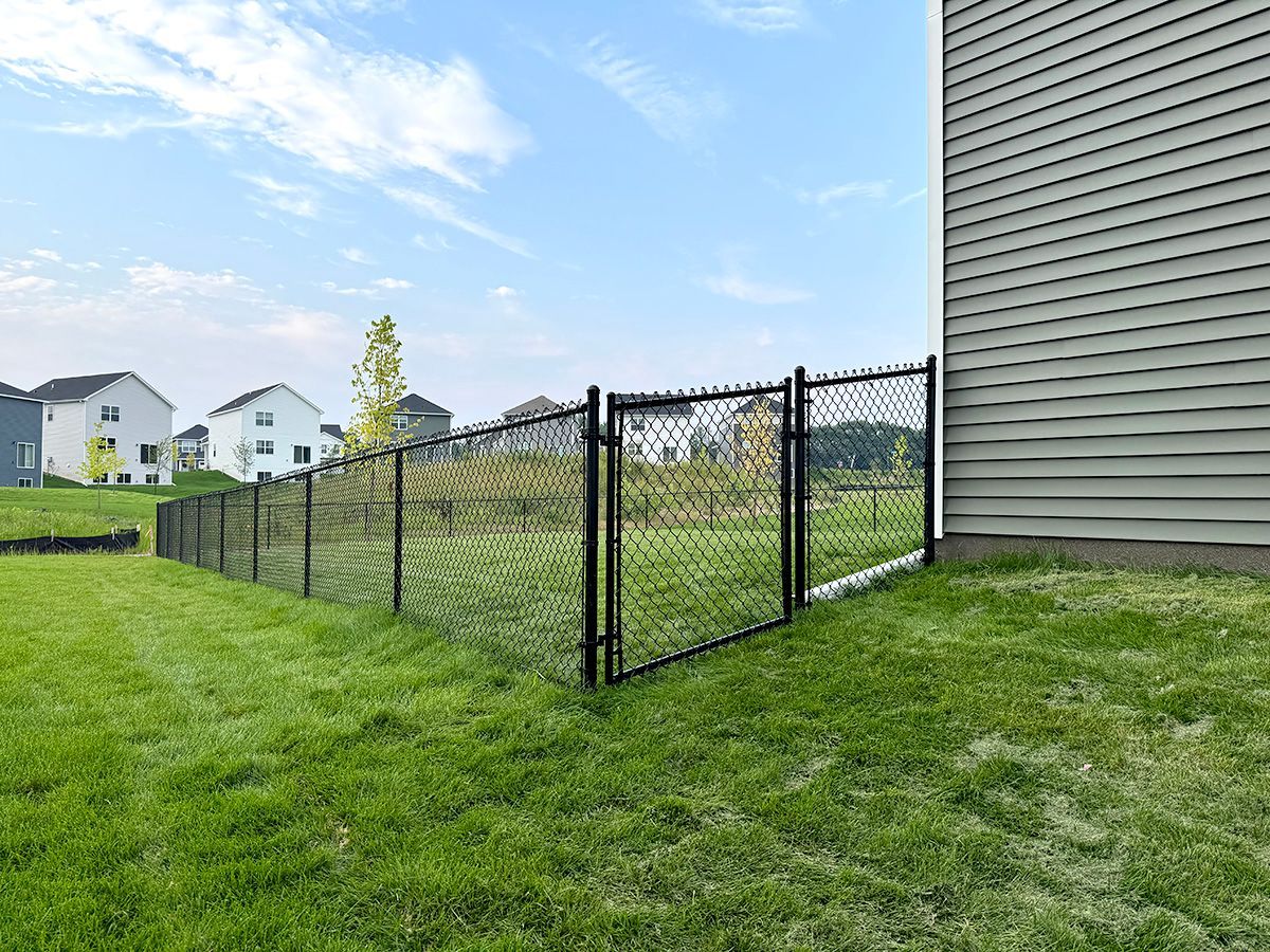 A black chain-link fence encloses a backyard lawn next to the gray siding of a house under a blue sky.