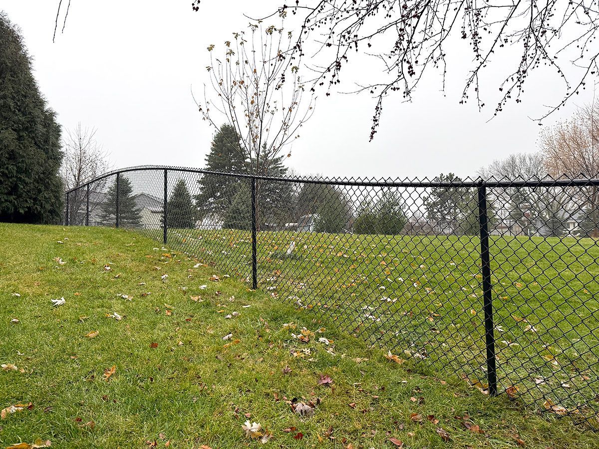 A black chain-link fence curves across a grassy, leaf-strewn lawn under a cloudy sky.