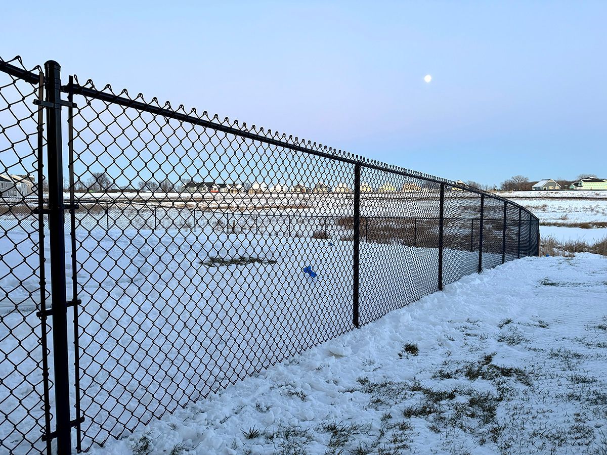 A black chain-link fence lines a snow-covered field under a pale sky with a visible moon.