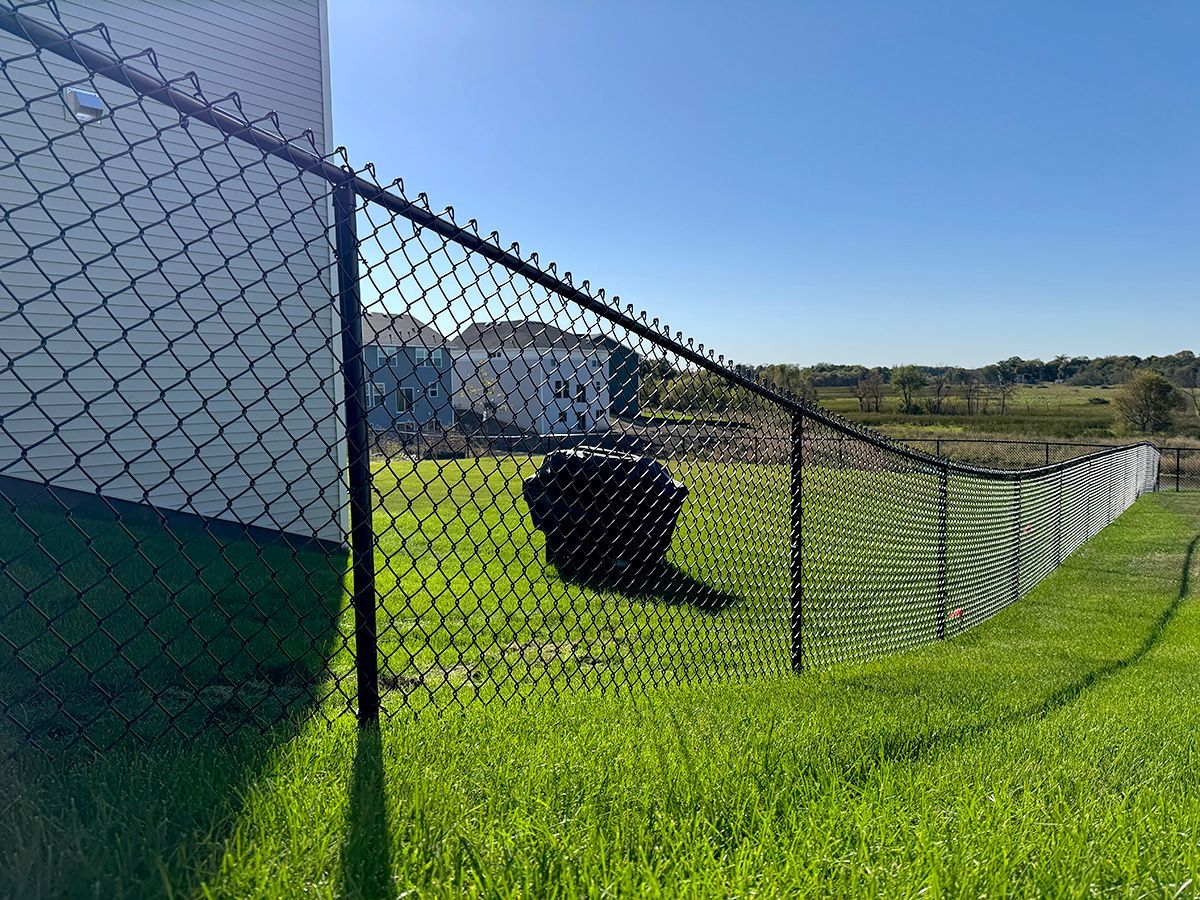 A black chain-link fence runs diagonally across a sunny, green backyard with houses in the background.