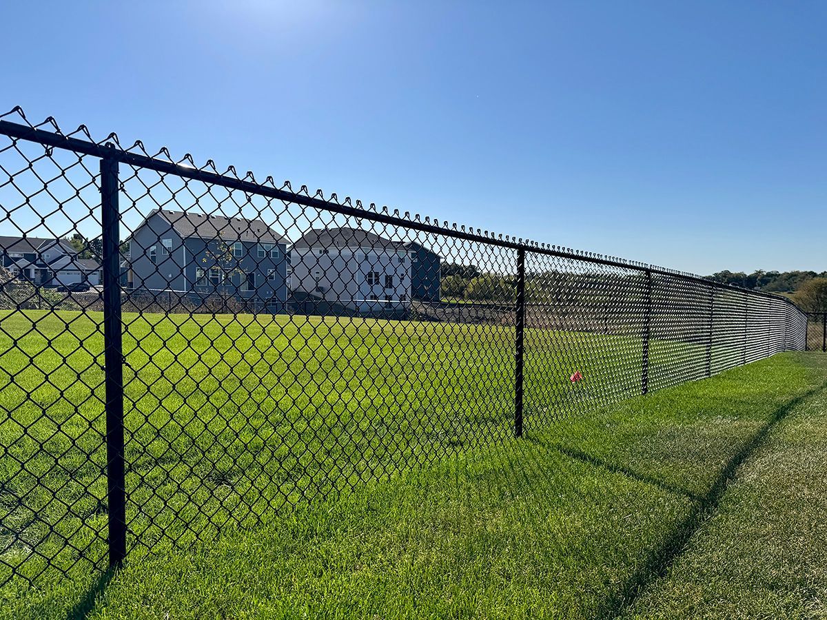 A black chain-link fence runs along a green grassy field on a sunny day with houses visible in the background.