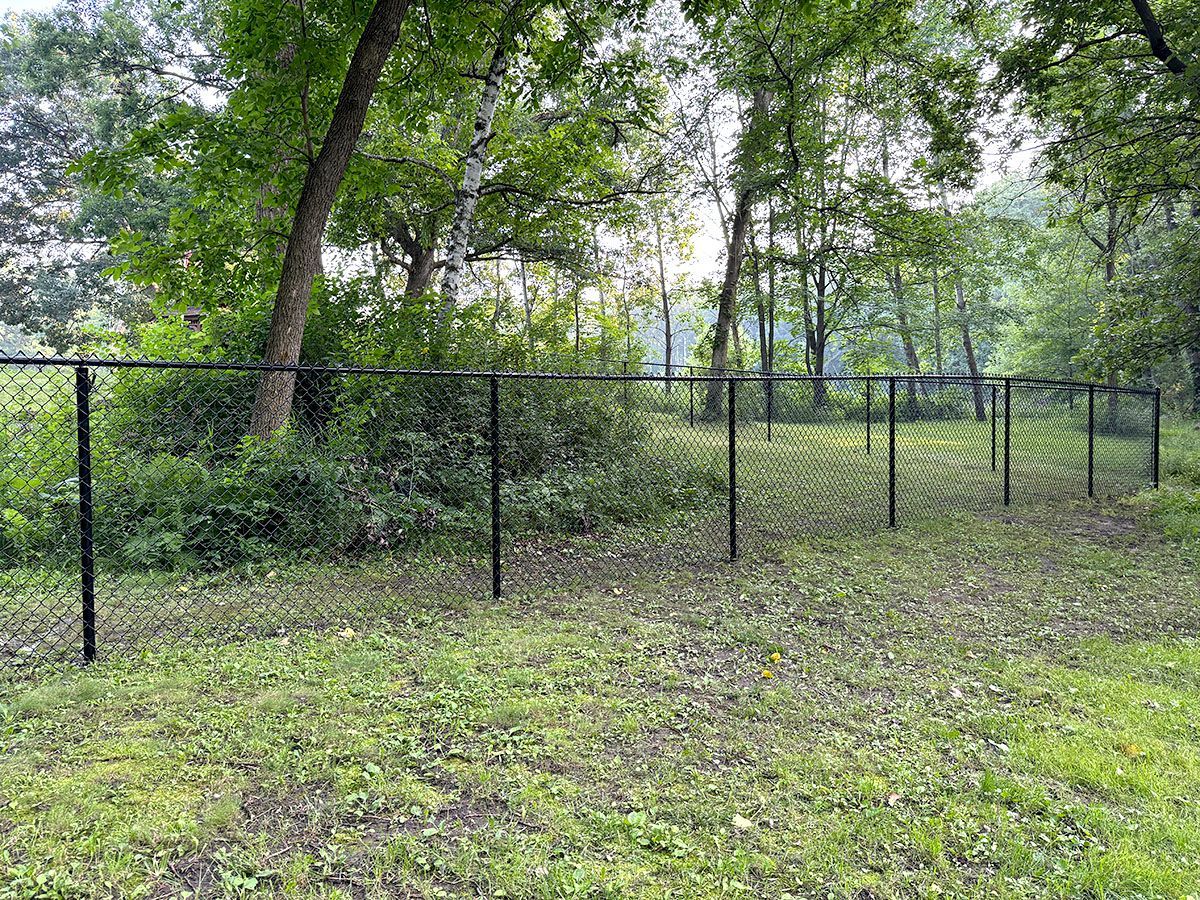 A black chain-link fence runs through a grassy, wooded area with lush green trees in the background.