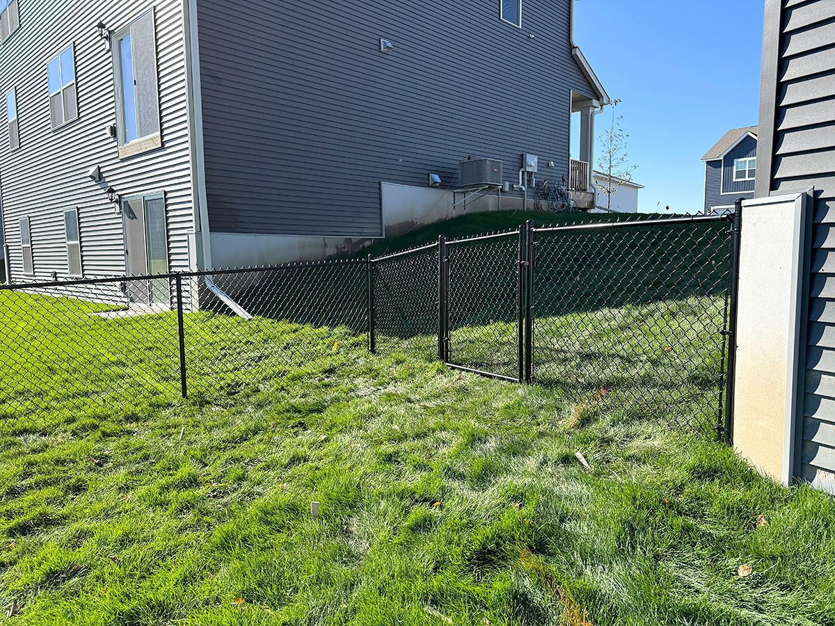 A black chain-link fence encloses a grassy backyard next to a gray-sided suburban house on a sunny day.