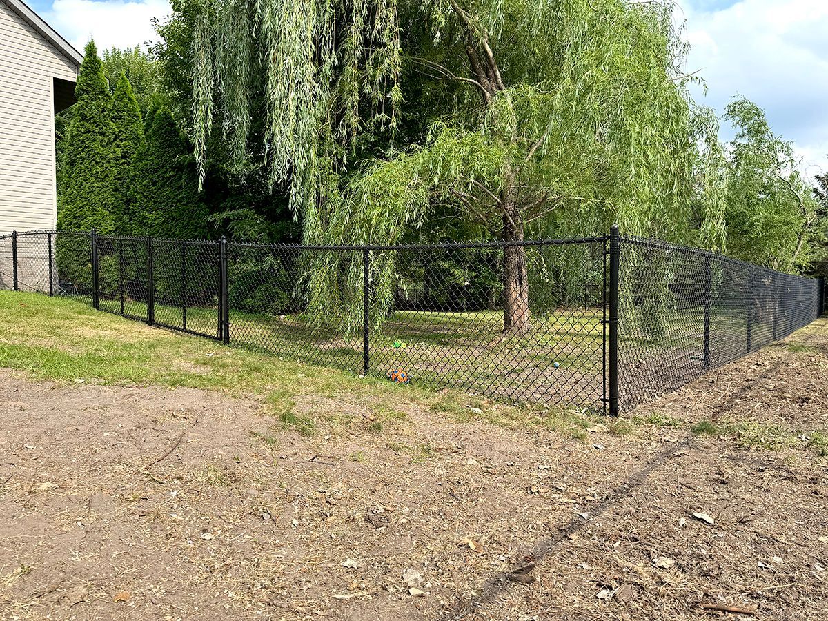 A black chain-link fence runs along the edge of a grassy yard next to a house, with a large willow tree in the background.