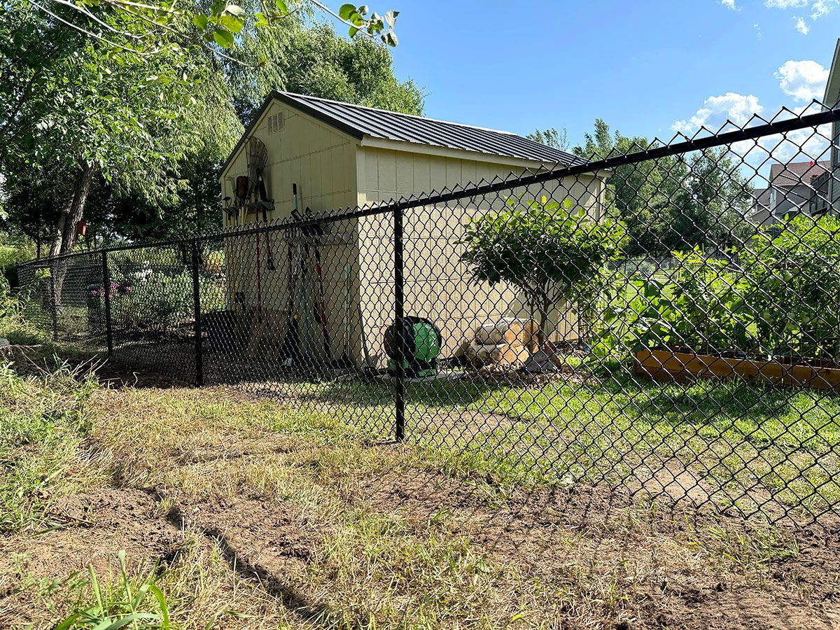A yellow storage shed sits in a grassy yard behind a black chain-link fence under a blue, sunny sky.