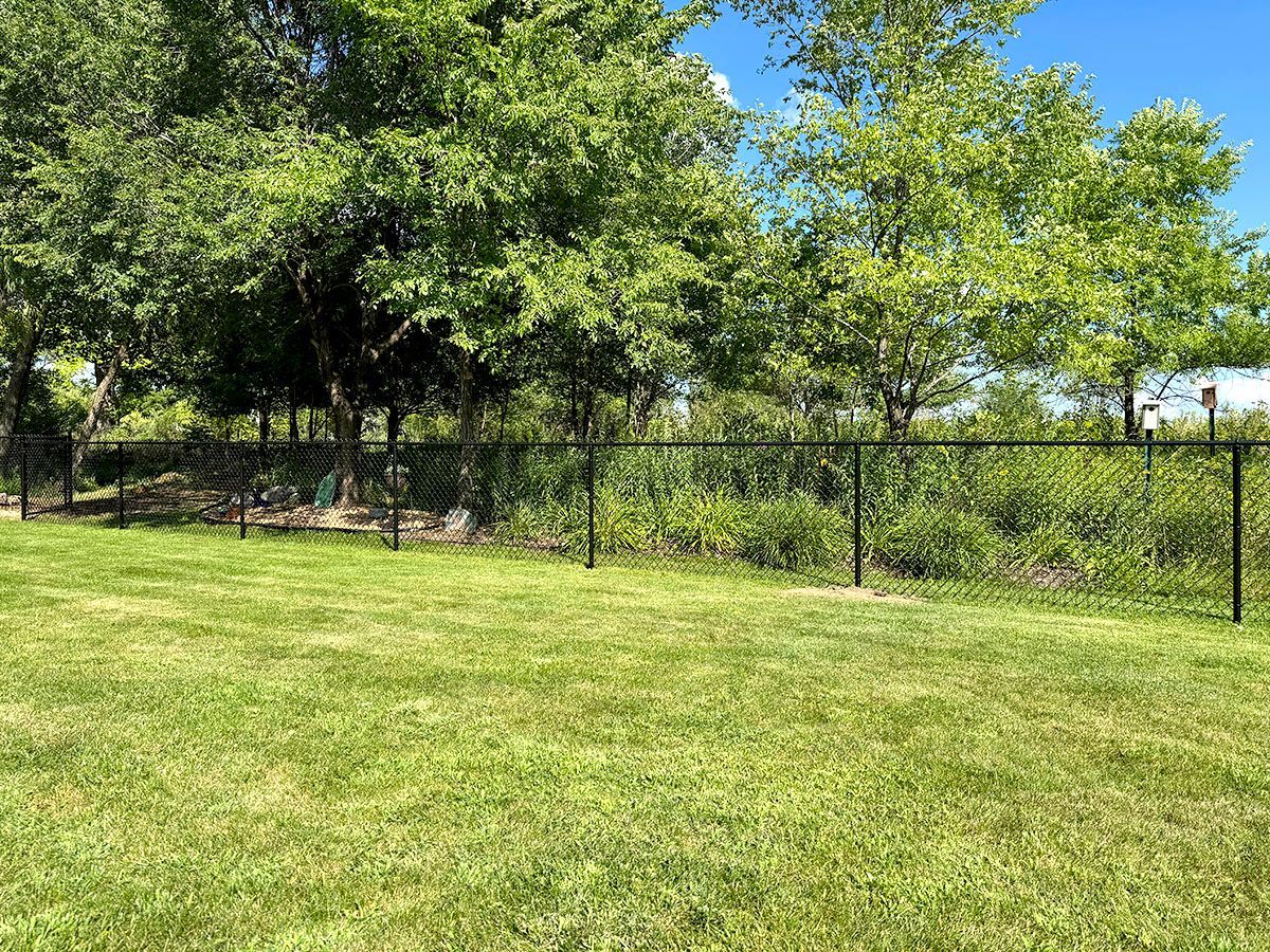 A grassy lawn meets a black chain-link fence bordering a line of green trees under a clear blue sky.