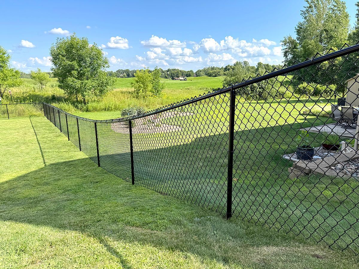 A black chain-link fence runs along a grassy lawn, separating the yard from an open field under a blue sky.
