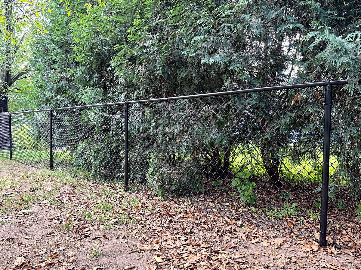 A black chain-link fence runs along the edge of a wooded area covered in fallen leaves.