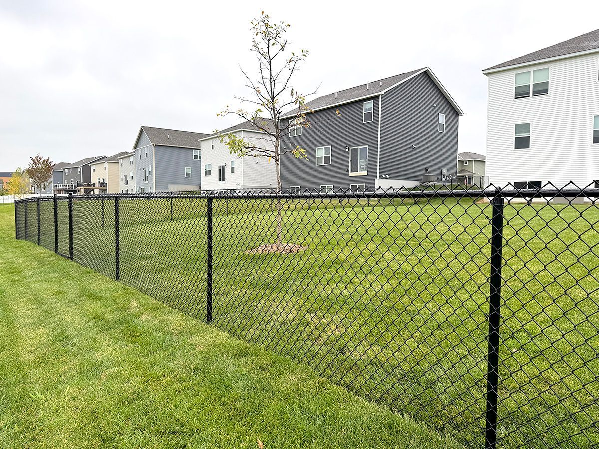 A black chain-link fence encloses a green residential lawn with a young tree in the background of suburban houses.