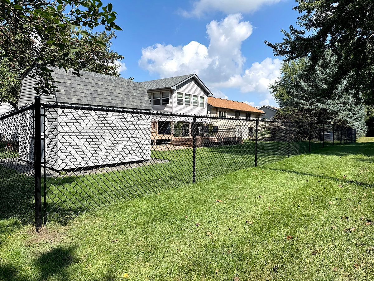 A black chain-link fence encloses a green grassy lawn with a shed, a house, and trees under a blue sky with white clouds.