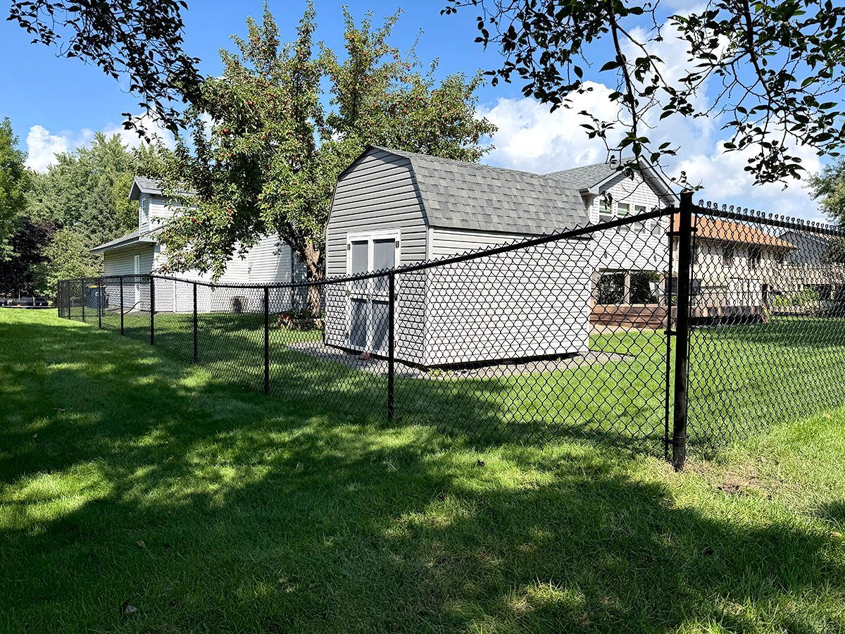 A light gray storage shed sits in a grassy backyard, partially enclosed by a black chain-link fence under a blue sky.