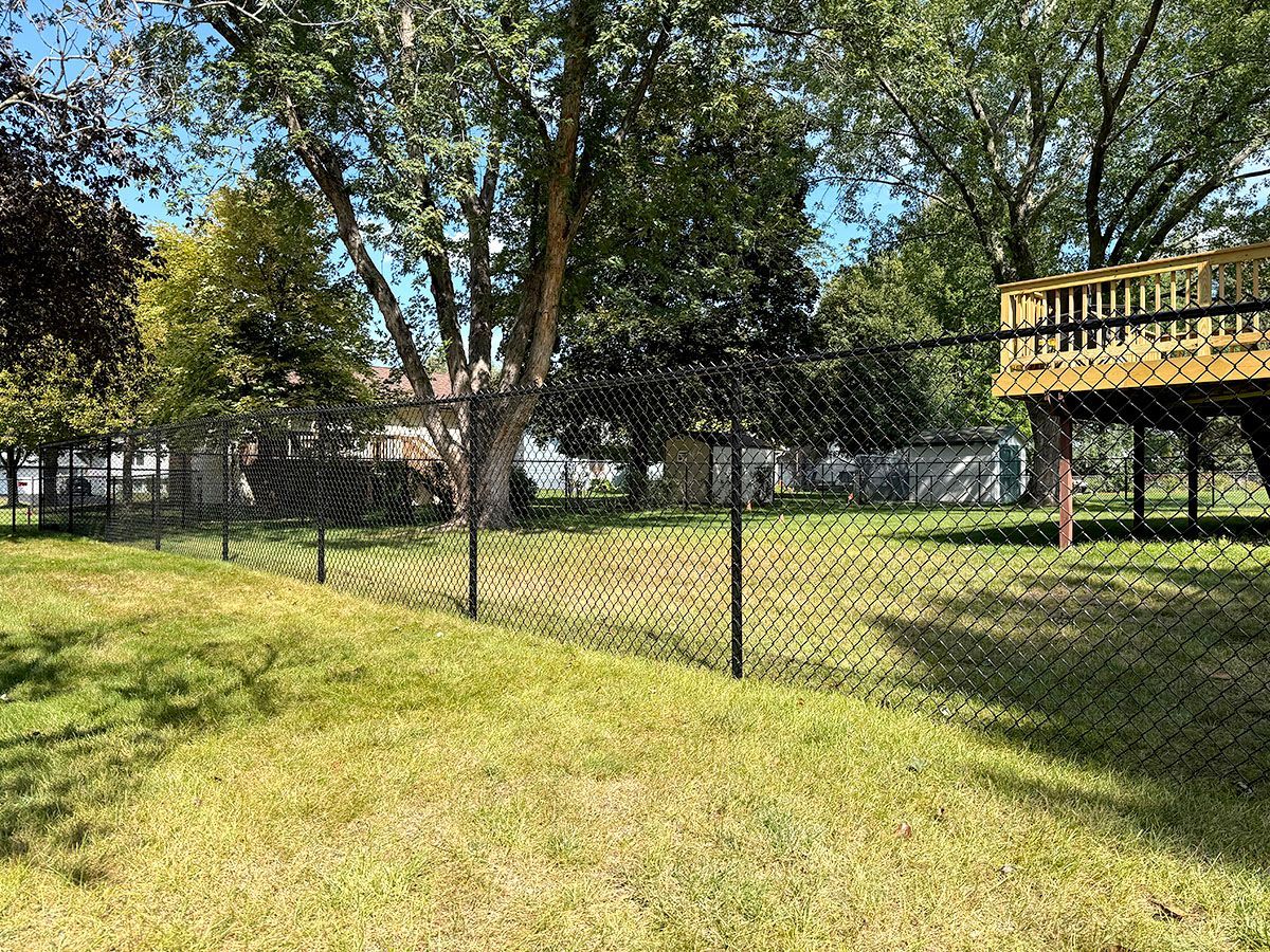 A chain-link fence separates a grassy backyard from trees and a wooden deck.