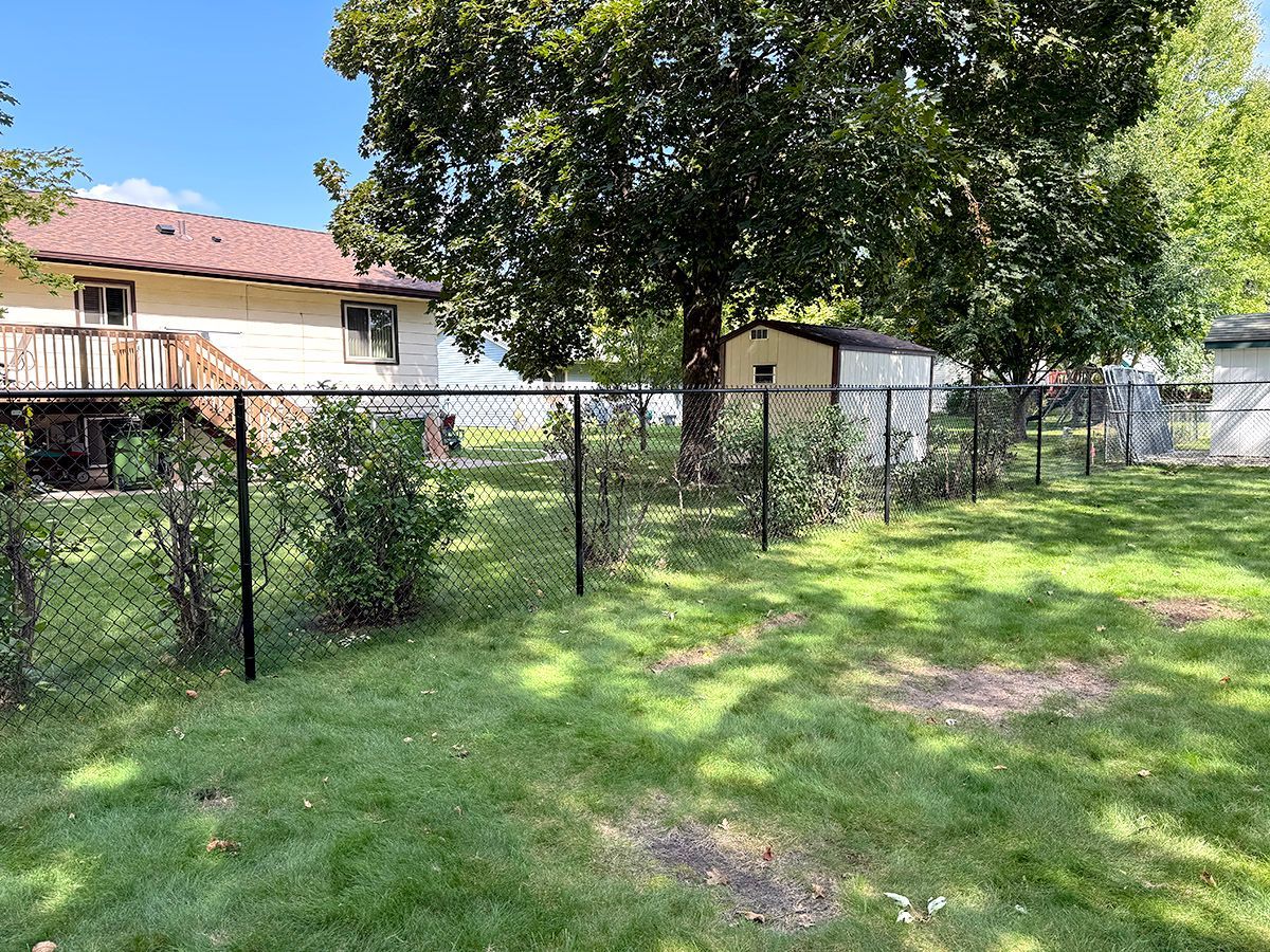 A backyard featuring a black chain-link fence, a green lawn with patches, a small shed, and a house with a wooden deck.