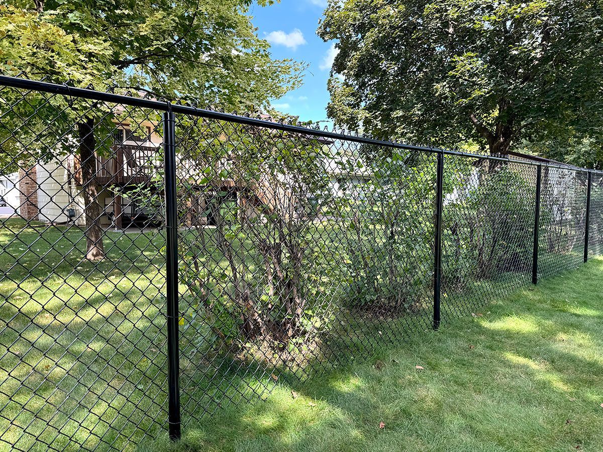 A black chain-link fence runs across a grassy backyard with trees and a house in the background.