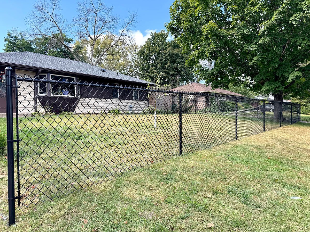 A black chain-link fence runs along a residential yard in front of two single-story houses on a sunny day.