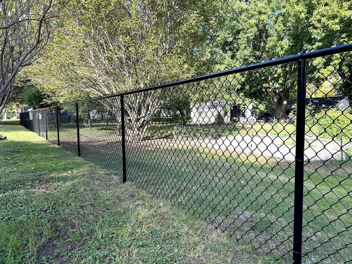 A black chain-link fence runs diagonally through a sunny, grassy yard with trees in the background.
