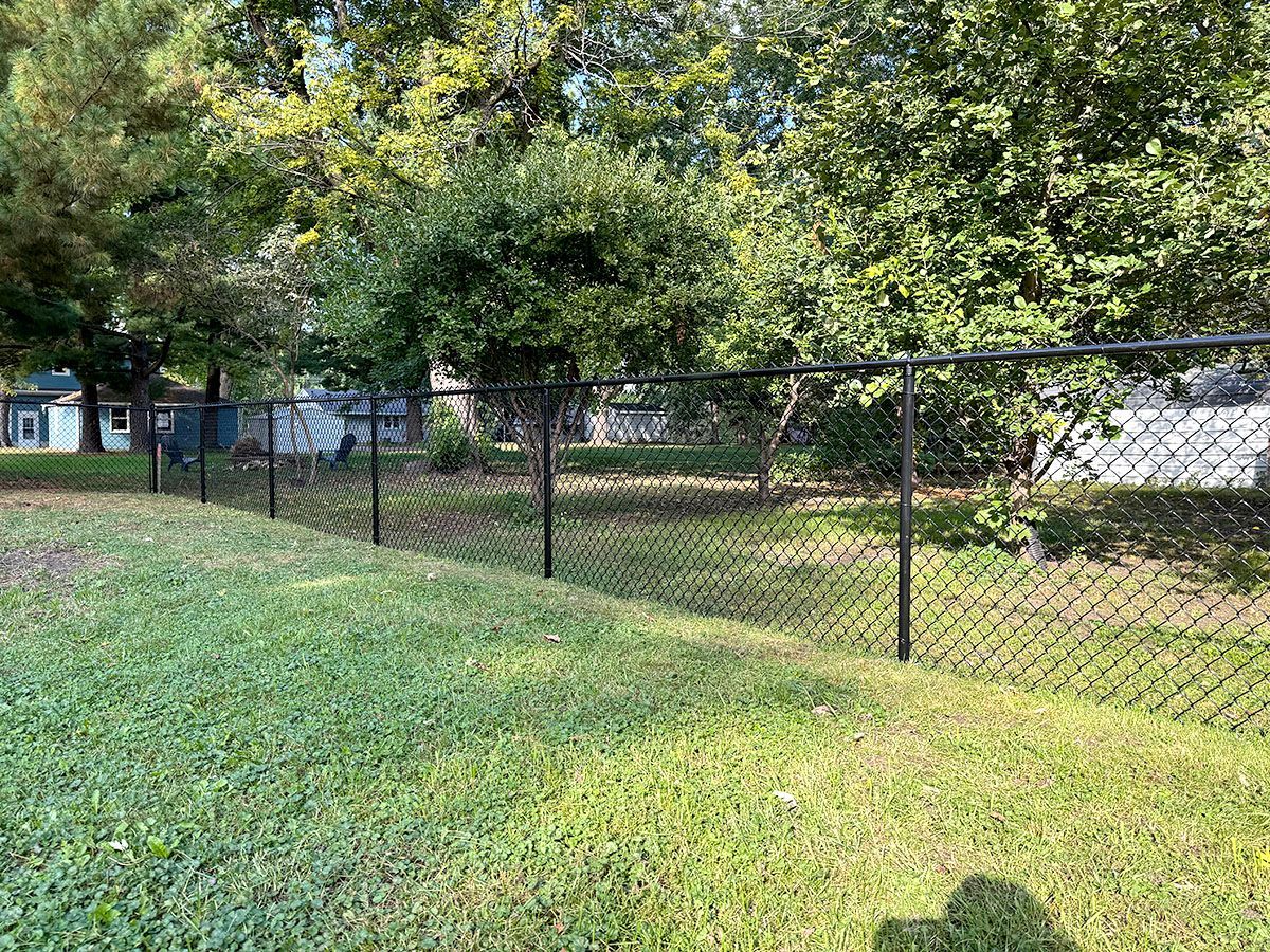 A black chain-link fence runs diagonally across a sunny, green grassy lawn, with trees and houses in the background.