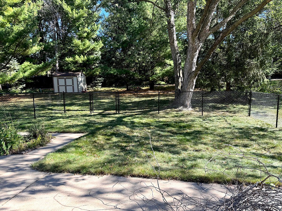 A grassy backyard with a paved patio, a black chain-link fence, a large tree, and a small shed in the background.