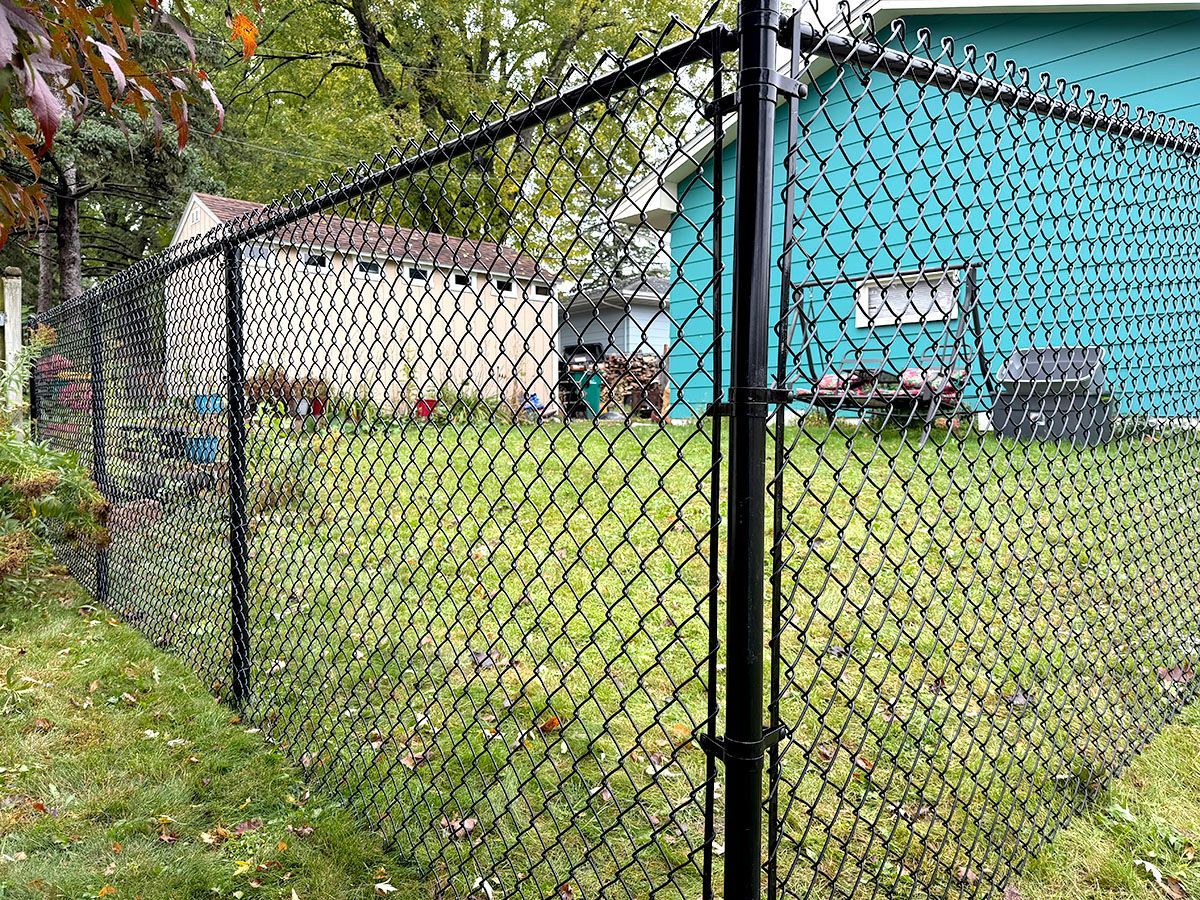 A black chain-link fence encloses a green lawn, with a shed and part of a house visible in the background.
