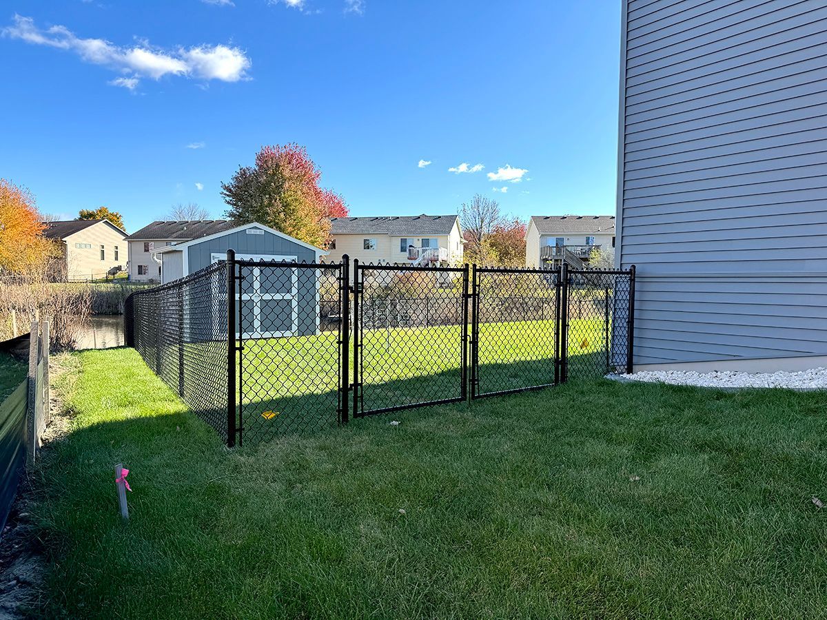 A black chain-link fence encloses a green backyard lawn, featuring a blue storage shed and a blue house exterior.