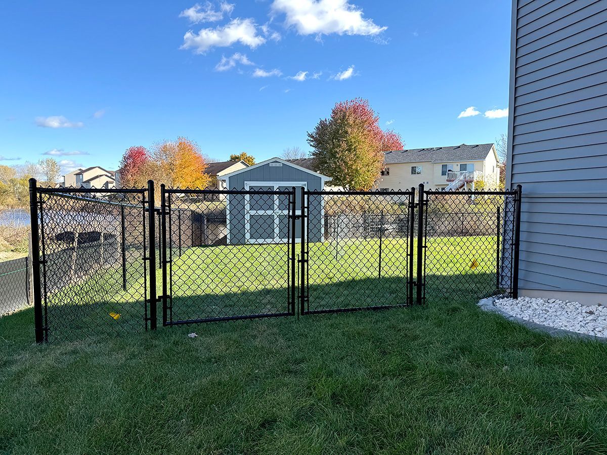A black chain-link fence and gate in a grassy backyard with a blue shed and houses in the background under a blue sky.