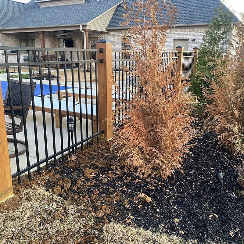 Black metal fence beside a patio and landscaped bed with brown shrubs and mulch.