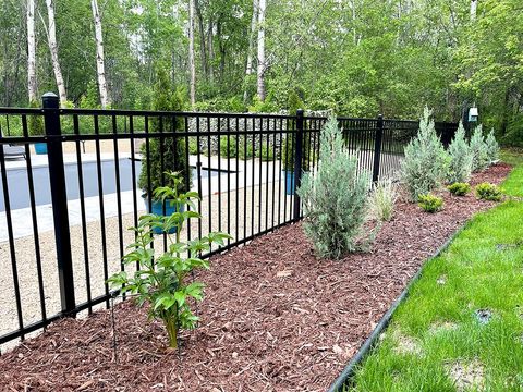 A black metal fence borders a landscaped garden bed with mulch, small evergreen shrubs, and a young green plant.
