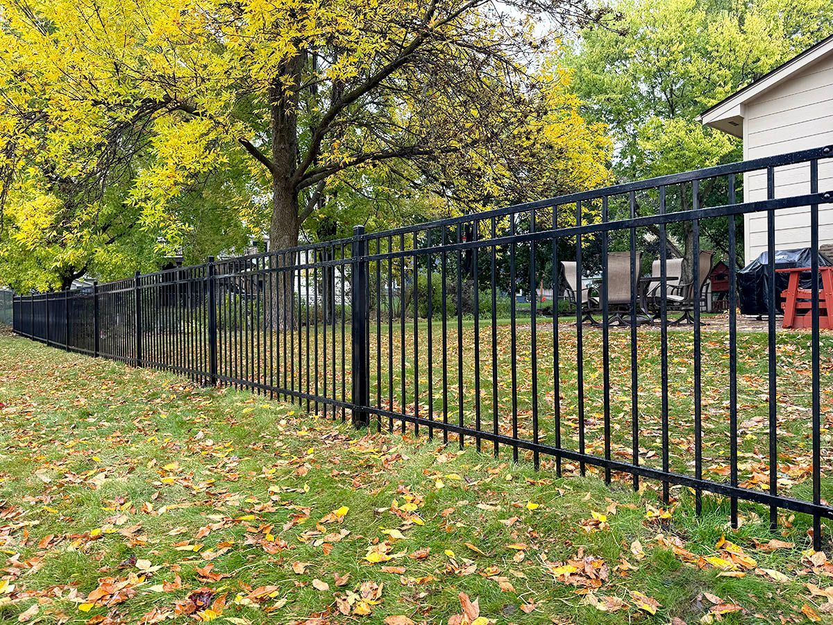 A black metal fence runs across a lawn covered in fallen autumn leaves, with a yellow-leafed tree and a house nearby.