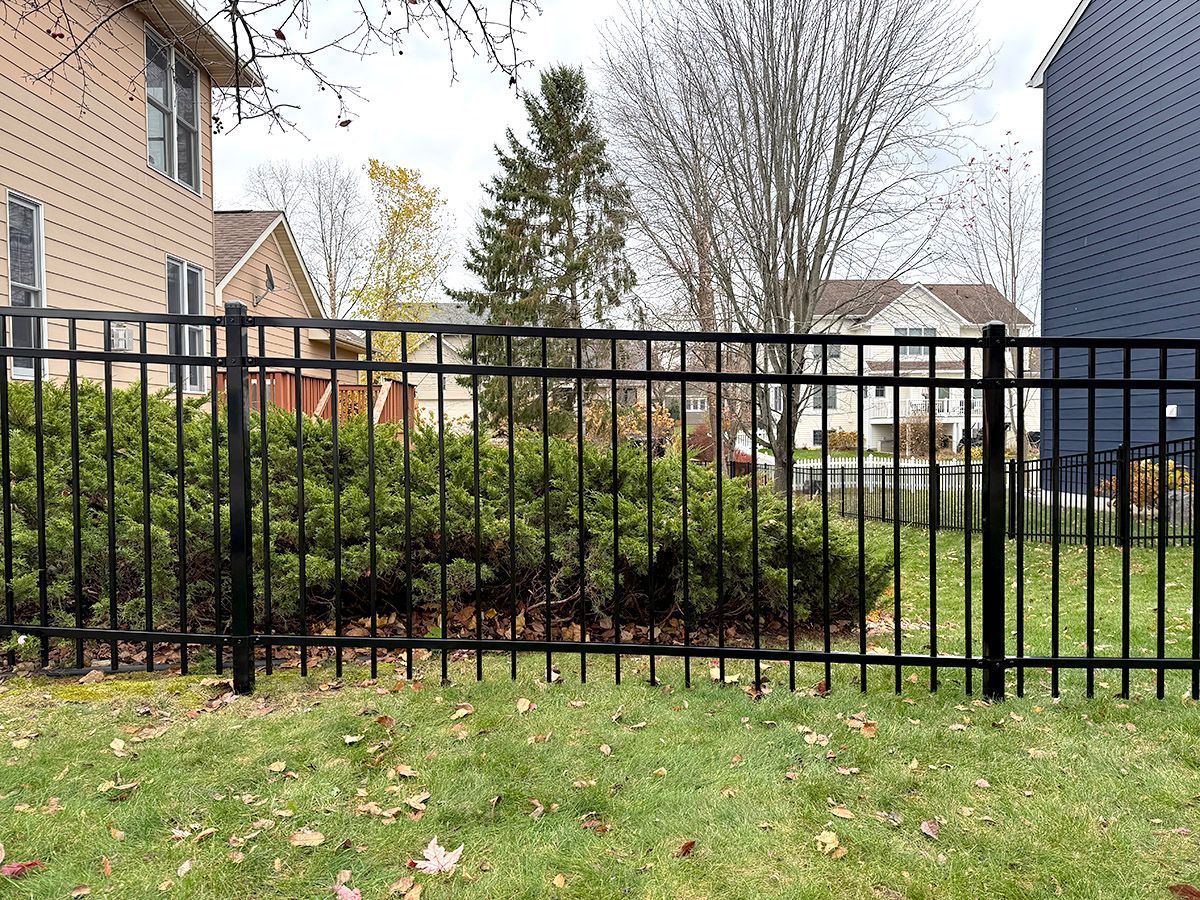 Black metal fence in front of shrubs and a grassy yard beside tan and blue houses