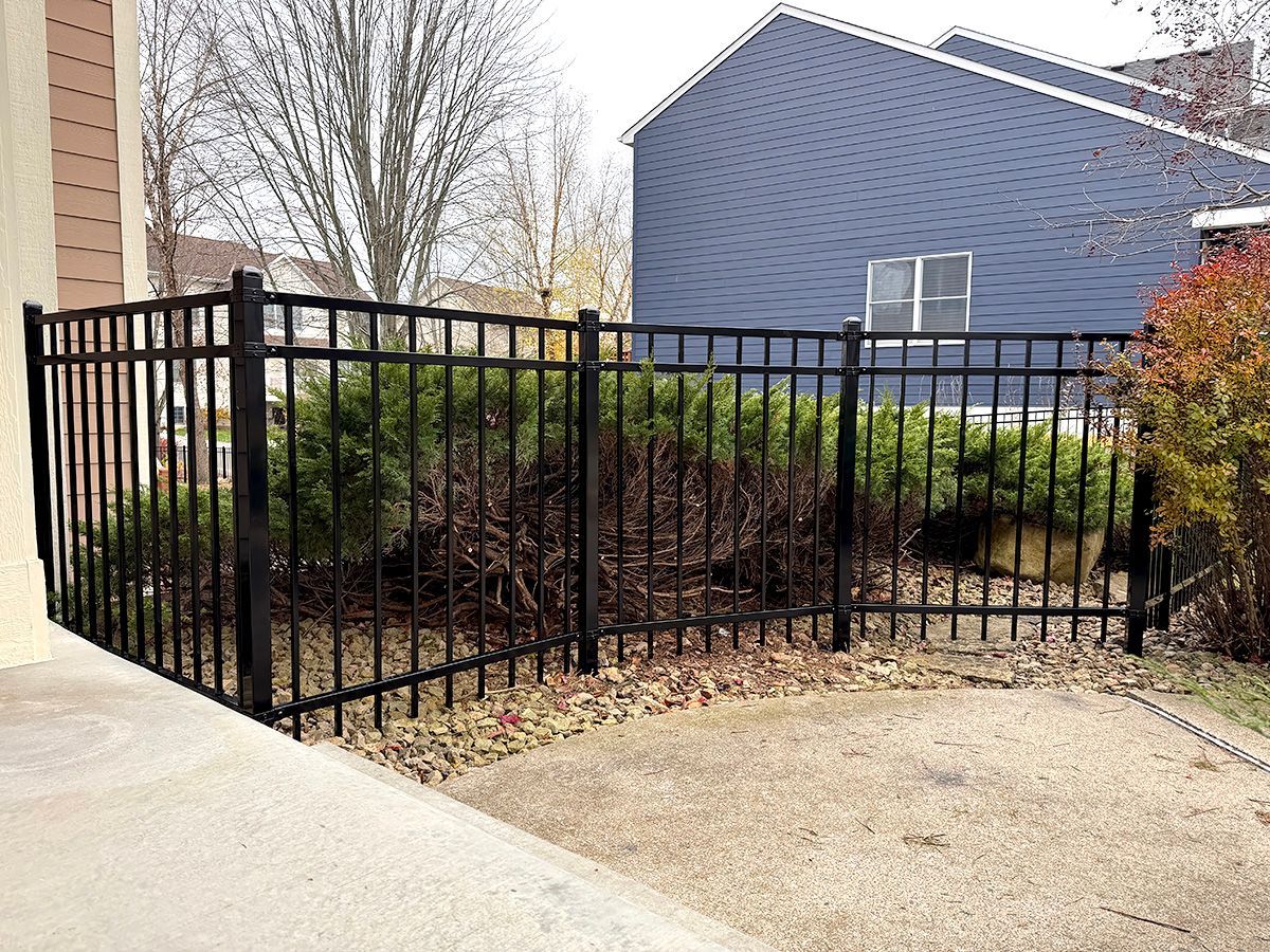A black metal fence encloses a landscaped area with evergreen shrubs and stone mulch in front of a blue house.