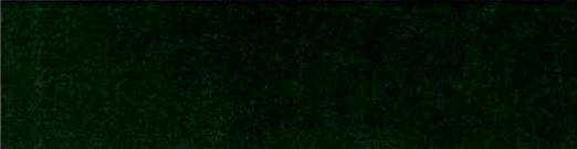 Dark green blurred background.