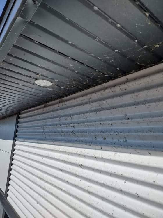 Un gros plan d'un bâtiment avec un toit et un plafond.