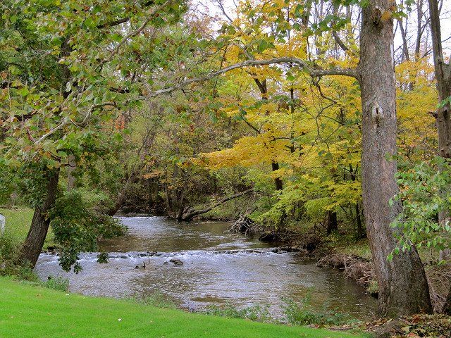 Scenic creek winding through trees in Grandville, Michigan