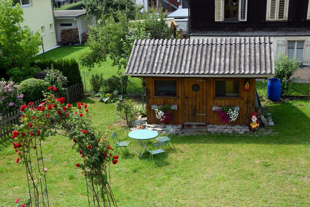 Blick in den Garten