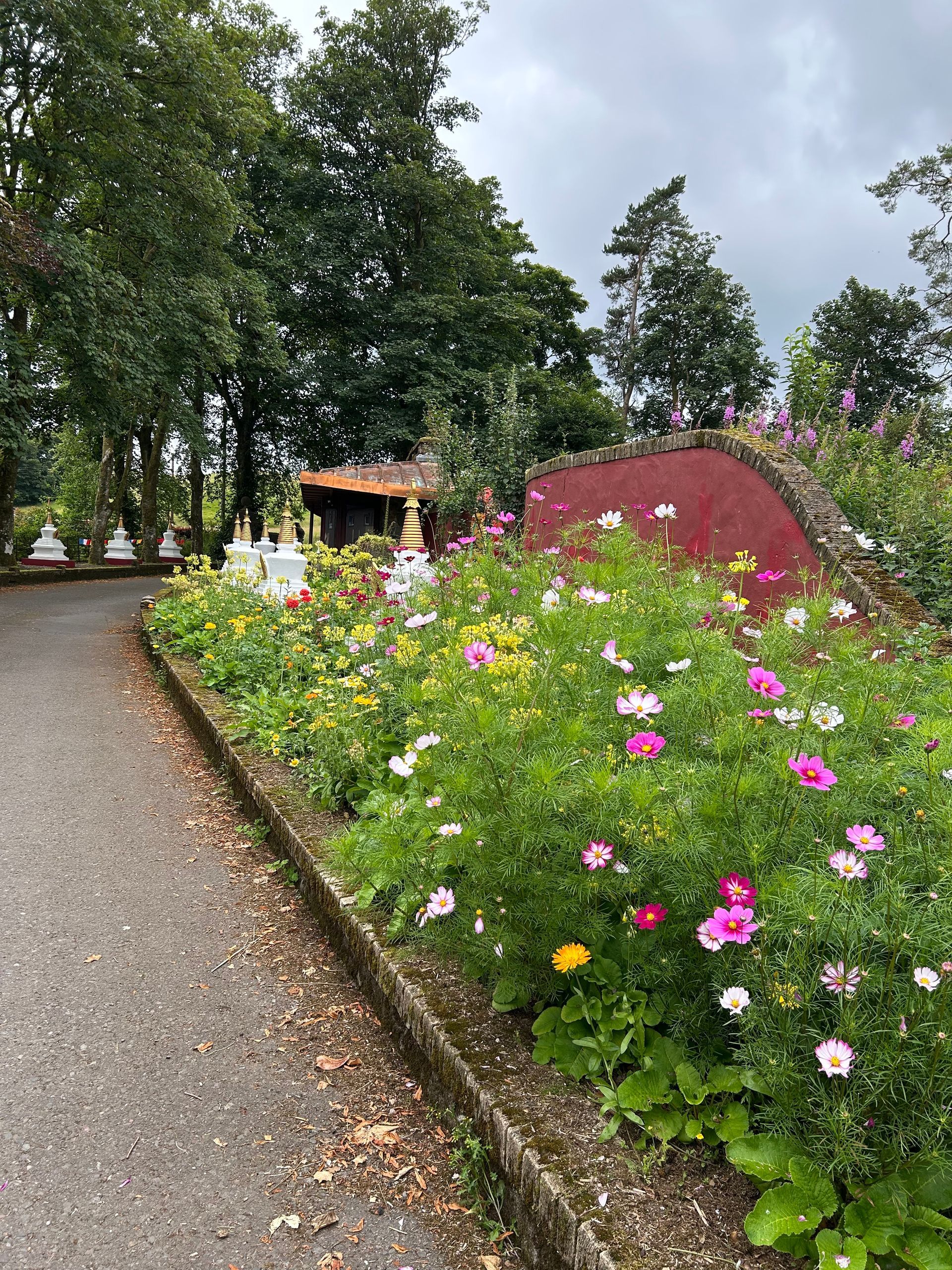 Photo of a red wall with a  beautiful cosmos flower bed in front and tall trees in the background