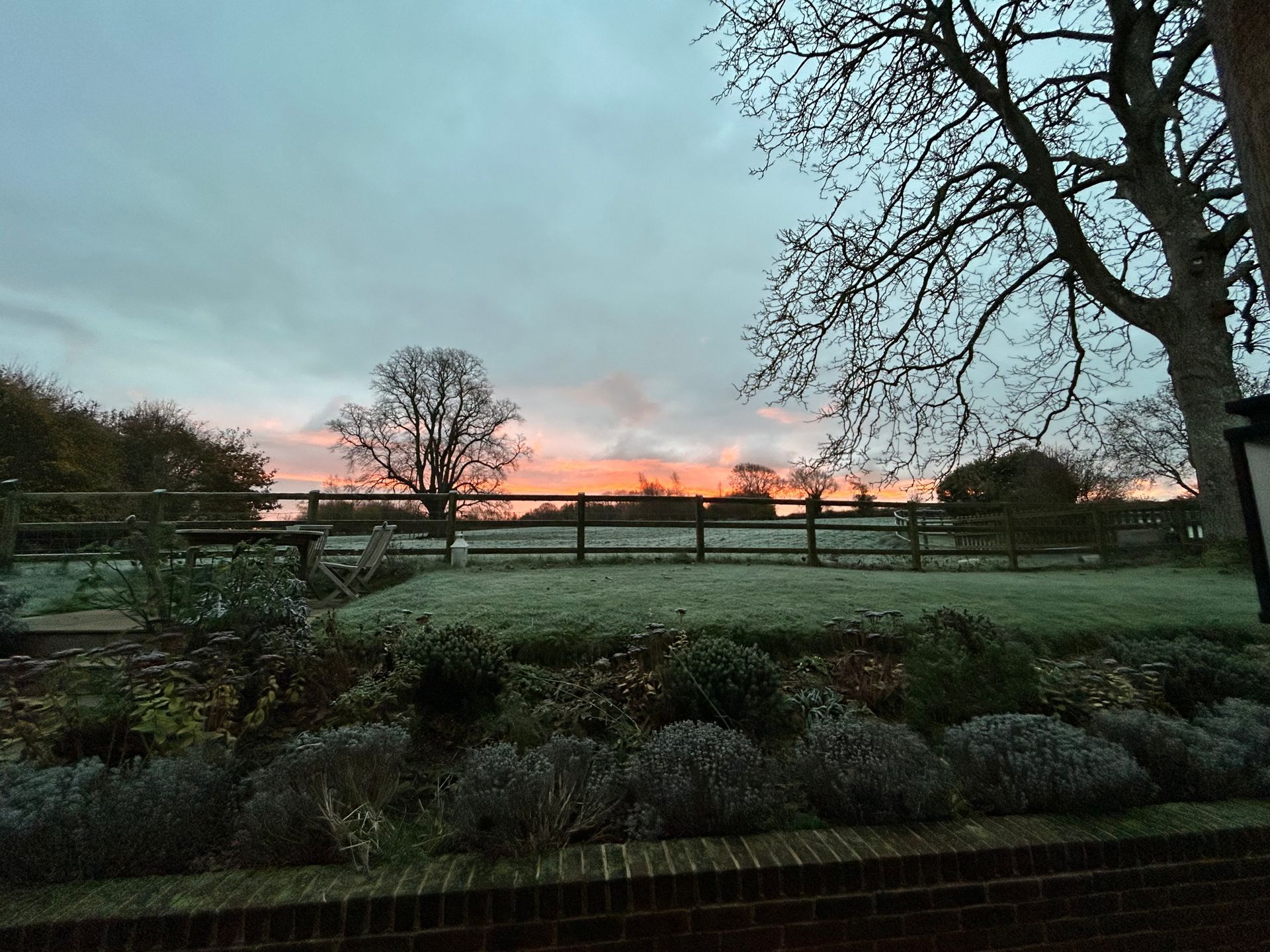 photo of the sun rising over a grassy area