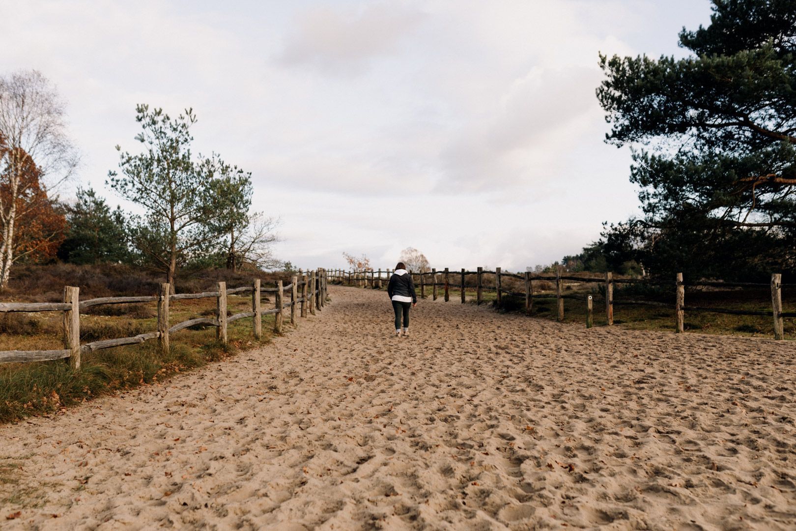 photo of a lady walking away on sand with trees to the side