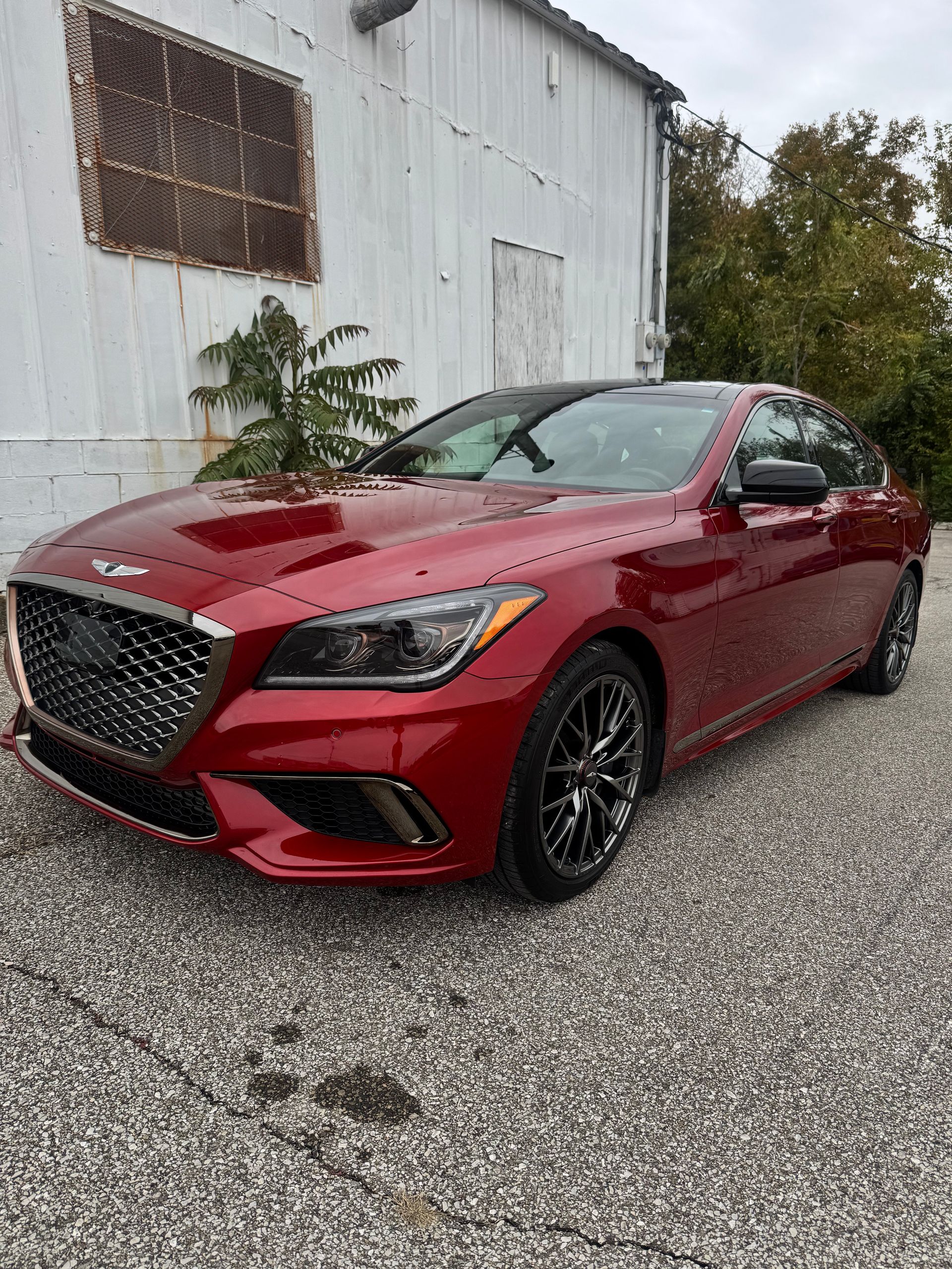 Ace Pro Detailing
