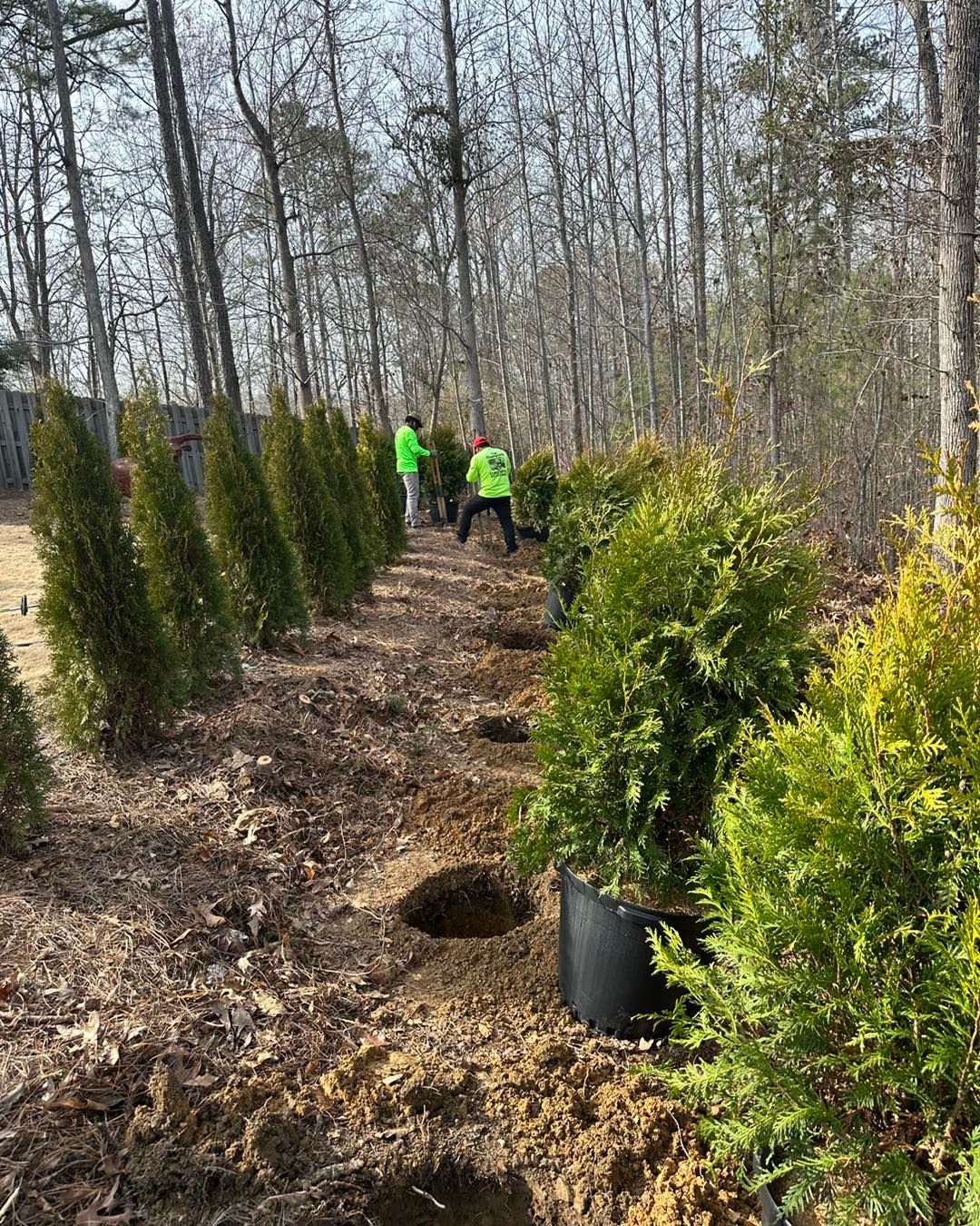 Lawn Care Gallery Photos Alabaster, Landscaping Gallery