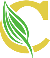 Champions Landscaping Champions Landscaping